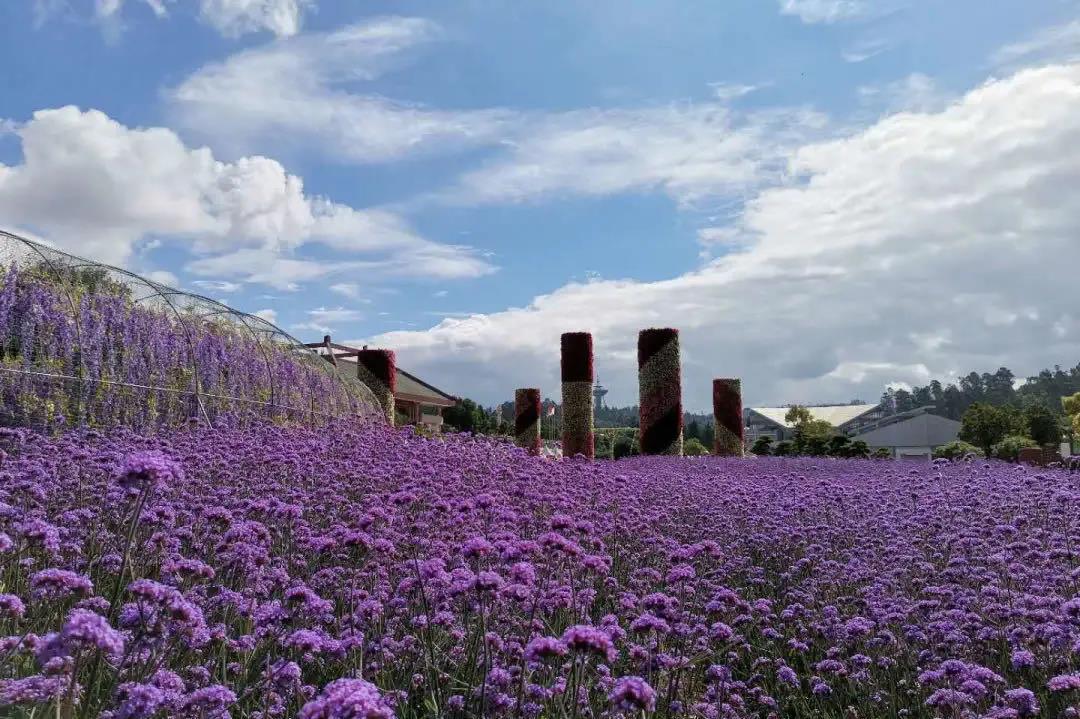 昆明周末休閑度假游，體驗(yàn)另一種昆明度假風(fēng)情。