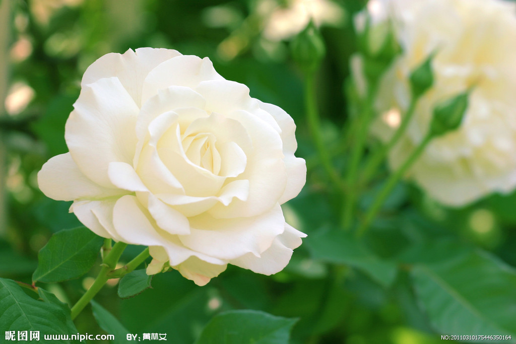 8種昆明特色美食，在昆明不得不吃