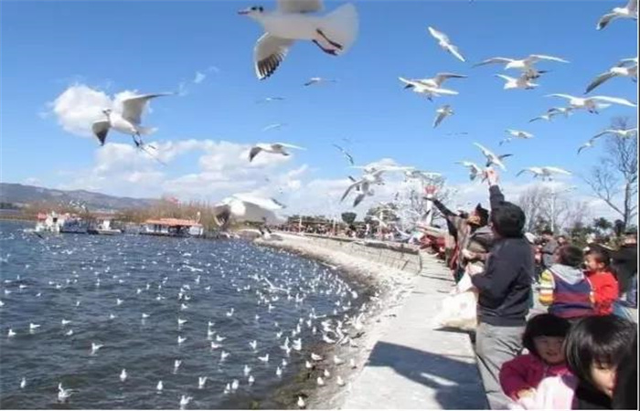 有山、有海、有古鎮....昆明這些秀麗風景邀你來打卡！