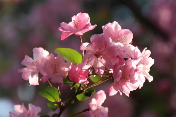 擇一城，愛一生，昆明，絕對是你不錯的選擇！