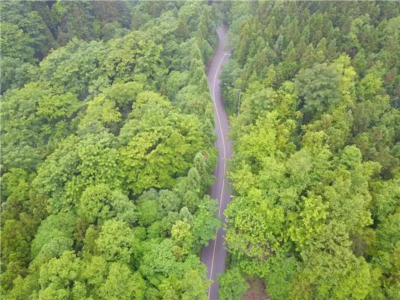 因?yàn)樘珒?yōu)秀，大家往往忽略了這個(gè)地方的顏值......   昆明年會策劃