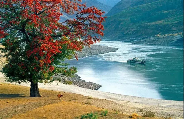 ?12月楚雄最美旅行地，來一場年末的收官之旅！