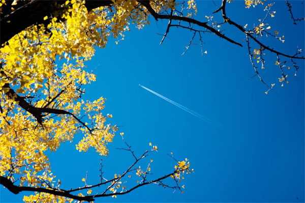  看一眼就心動！小伙伴熟悉的“云南藍”又回來了