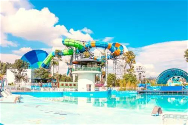 泡溫泉觀海鷗品美食曬太陽，昆明避寒可以這樣玩