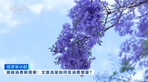 云南旅游,云南旅行社,云南團(tuán)建公司,云南策劃公司,云南會(huì)議執(zhí)行公司,昆明旅游,昆明旅行社,昆明團(tuán)建公司,昆明策劃公司,昆明會(huì)議執(zhí)行公司：央視13分鐘聚焦！昆明以花為媒提振消費(fèi) 文旅流量變消費(fèi)增量