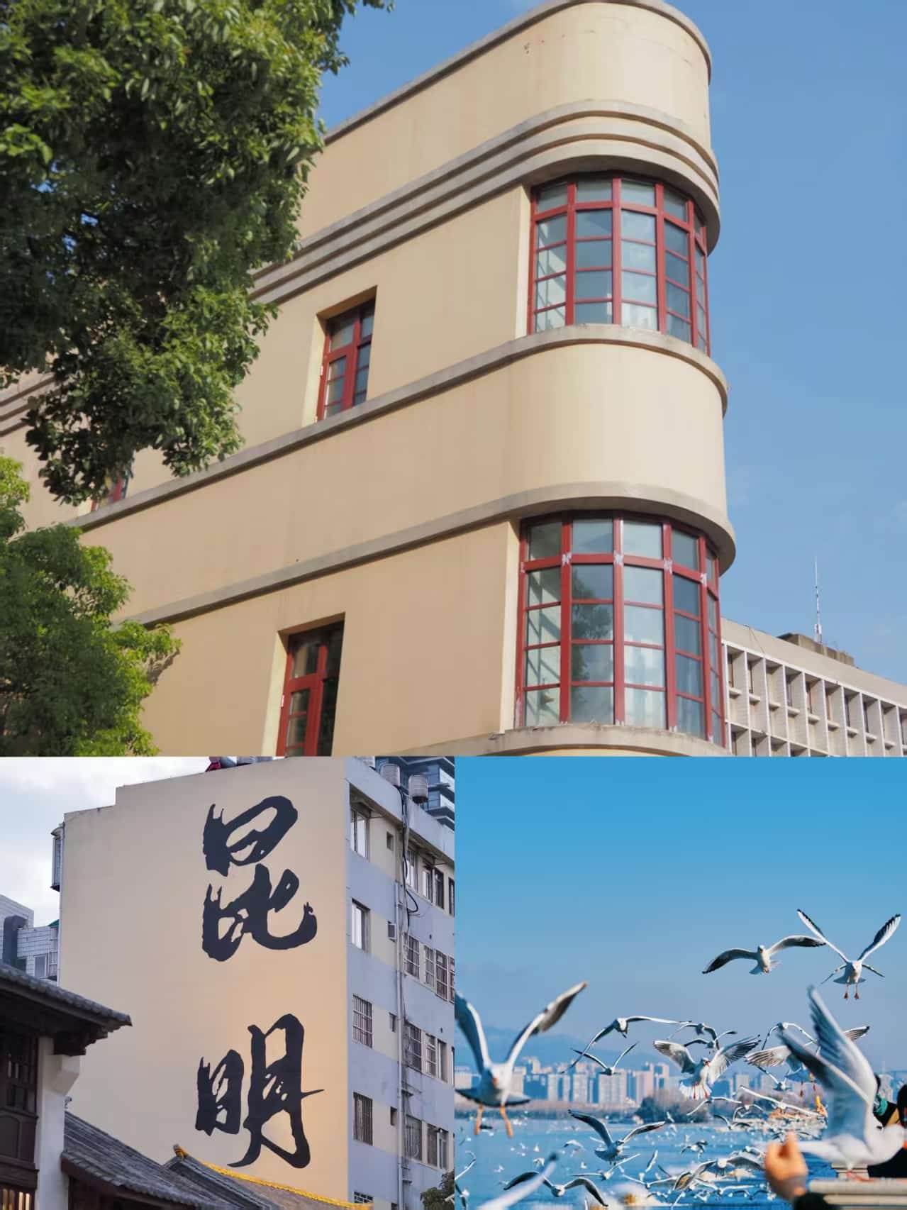 云南團建公司,云南策劃公司,昆明旅游,昆明旅行社,昆明團建公司,昆明會議會展：昆明24小時，在鮮花與海鷗間，邂逅一場春城的浪漫漫游